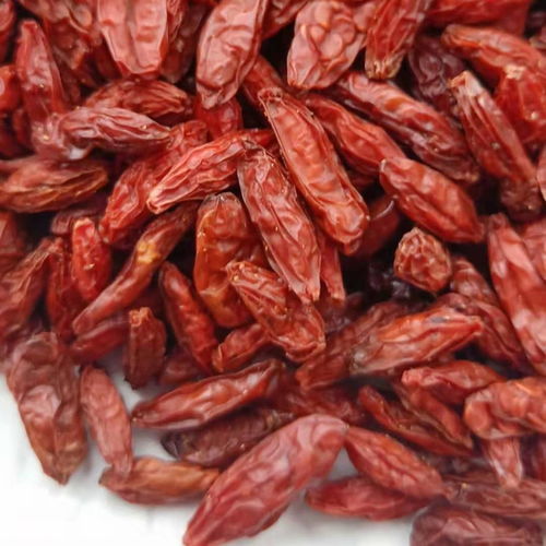 長(zhǎng)白山純野生枸杞 正品東北特產(chǎn)干貨純天然紅枸杞子 味濃籽多皮薄