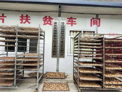 同潤種植農(nóng)民專業(yè)合作社聯(lián)合社 抱團發(fā)展,促農(nóng)增收